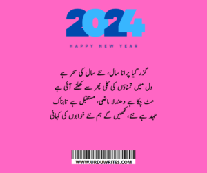 new year shayari in urdu