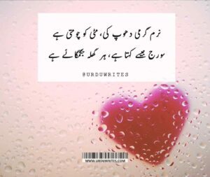 January Poetry in Urdu