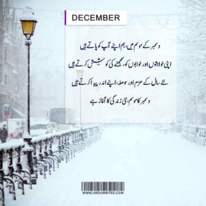 alvida december poetry